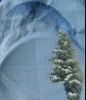 2.thumb.jpg.82bad720403f92efda0042ad654b
