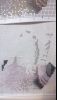 2.thumb.jpg.a84756c196c59a158bdb159ffab9