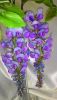 2.thumb.jpg.a9f5d91899836c86edd2b330a4ae