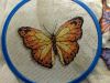 2.thumb.jpg.abd53cd1c2023cac3b9791d5a8e5