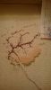 2.thumb.jpg.b1b54e2ccbea4dc212014c2fd26b