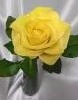 2.thumb.jpg.ec095bd9b981be3caf1a1277c035