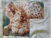 20130928_155511.jpg
