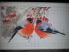 20151228_225730.thumb.jpg.32fea5a8e38c04