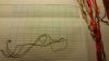20160101_190508.thumb.jpg.6b9d2e3aad0898
