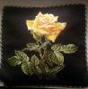 20160102_141038.thumb.jpg.1012771fcdf819