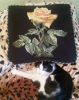 20160102_141207.thumb.jpg.8817549c9ec535