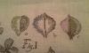 20160110_091439.thumb.jpg.83e79106ec7166