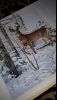 20160110_125943.thumb.jpg.c344ef7eca33f4
