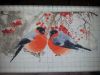 20160110_184643.thumb.jpg.daf151c5f0ef78