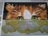 20160113_121411.thumb.jpg.5bf4538d6df5ed