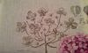 20160115_162327.thumb.jpg.69be5f3648d8c5