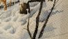 20160115_173844.thumb.jpg.09c26ef92e7b33