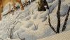 20160115_173902.thumb.jpg.1a8cf25cef855f