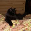 20160116_013807.thumb.jpg.77365d9eceed54