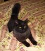 20160116_013824.thumb.jpg.1640b9909e51c5