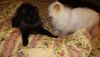 20160116_013858.thumb.jpg.8356d50321acd0