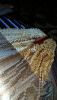 20160117_172720.thumb.jpg.bb4c8568267cf0