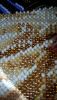 20160117_172806.thumb.jpg.49133beb7175b8