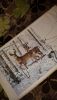 20160120_110301.thumb.jpg.54da4b702b7650
