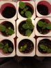 20160120_113822.thumb.jpg.e2bd954b4597d4