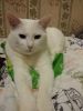 20160123_091845.thumb.jpg.70e89f5e3bef12