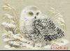 20768.thumb.jpg.6b590f16a7f5619bf55695b1