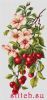 21901.thumb.jpg.05a14bcc825fff2ec9b54bfb