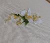 2222.thumb.jpg.d56e59b7709818cad29bfaeb4