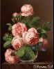 247_1.thumb.jpg.44d02cbcab8ed95cf2bf4dd9