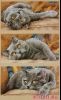 25153.thumb.jpg.a831e5e9fcf61c96e4fafe3c