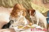28457.thumb.jpg.678cd984212f51b811306ee0