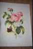 4.thumb.JPG.70ff101a1e7960e1c8942124cb7d