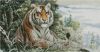 402728-496e0-92615100-m750x740-uf19df.th