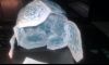 5.thumb.jpg.c87daf0726ff56fbb9946e00a2c8