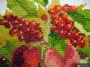 5.thumb.jpg.ca25db7fd9a8a7efc53a0bab665b