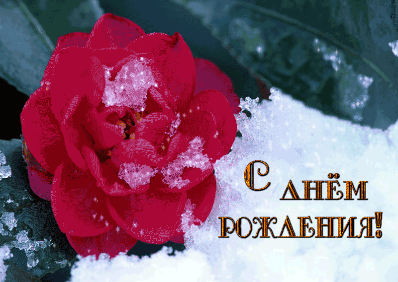 568770bdb12ff_.thumb.gif.2f74b1dcf9a05dd