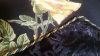 5687d1e3d4731_.thumb.jpg.f425f4ffddadf2b
