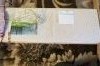 5688d3965d781_5.thumb.jpg.e3c43afb367b89