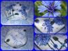 568e4869131ce_Cornflower.thumb.jpg.3d088