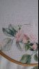 5692591ddd8d6_17.thumb.jpg.79c06b6e4ec29