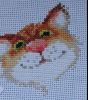 5694d70c05331_IMG_3290-.thumb.JPG.b36112