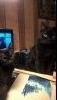 5694d78721aae_WP_20160106_18_44_02_Pro1.
