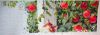 56a55db0e44c7_6.thumb.jpg.cabe845e250219