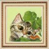 Котик,мини.jpg