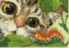 Котик,мини1.jpg