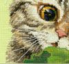 Котик,мини3.jpg