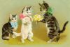 56aaefa70422d_.thumb.jpg.76d08fa0b0705d5
