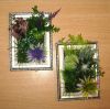 56ab94b29749c_5.thumb.jpg.ccdbf9ce76e88d