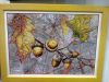 56abbe7f991b6_0583.thumb.jpg.d9a05a1a3d0